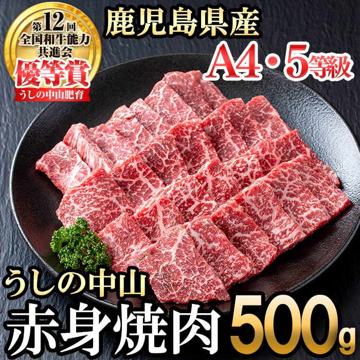 うしの中山 赤身焼肉用500g×1P 黒毛和牛 和牛 肉 牛肉 国産 九州産 鹿児島県産 焼肉 赤身 日本一 b3-021