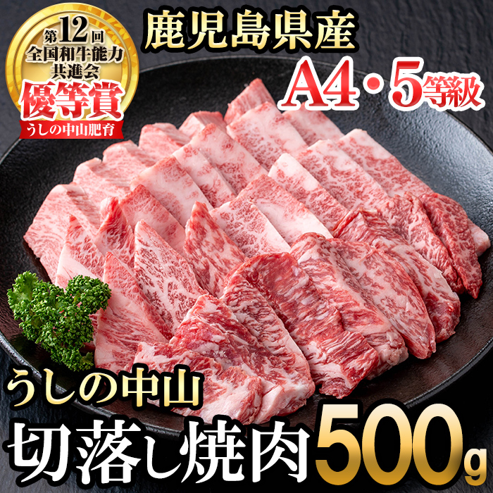 ＜A4・A5等級＞鹿児島県産黒毛和牛 うしの中山 切り落とし焼肉用 500g 黒毛和牛 和牛 肉 牛肉 国産 九州産 鹿児島県産 焼肉 日本一 a9-044