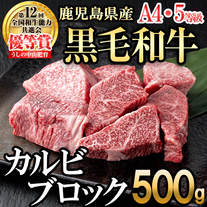 カルビブロック500g×1P 黒毛和牛 和牛 肉 牛肉 国産 九州産 鹿児島県産 焼肉 カルビ 日本一 b0-203