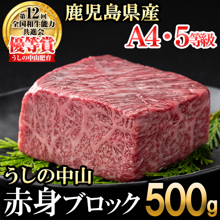 赤身ブロック500g×1P 黒毛和牛 和牛 肉 牛肉 国産 九州産 鹿児島県産 焼肉 赤身 日本一 b0-204