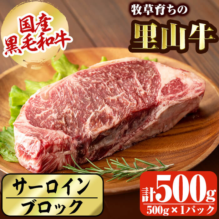 国産黒毛和牛 牧草育ちの里山牛 サーロインブロック 500g 黒毛和牛 和牛 肉 牛肉 国産 サーロイン ブロック 赤身 ステーキ b1-015