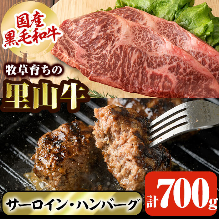 国産黒毛和牛 牧草育ちの里山牛 サーロインステーキ＆手作りハンバーグセット 計700g 黒毛和牛 和牛 肉 牛肉 国産 ハンバーグ サーロイン ステーキ b1-016