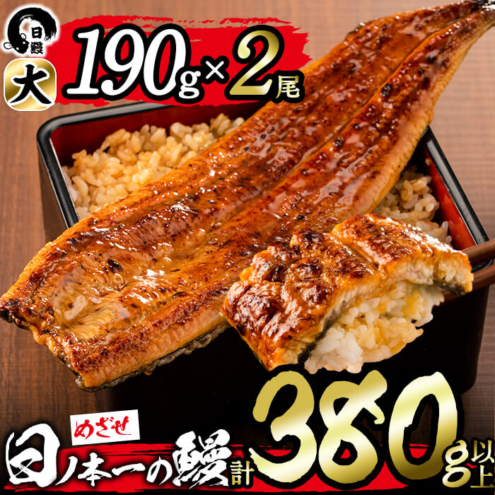 日ノ本一の鰻の蒲焼き＜大＞2尾(計380g以上) うなぎ 鰻 ウナギ 国産 鹿児島県産 九州産 蒲焼き 冷凍 うな重 ひつまぶし b1-018