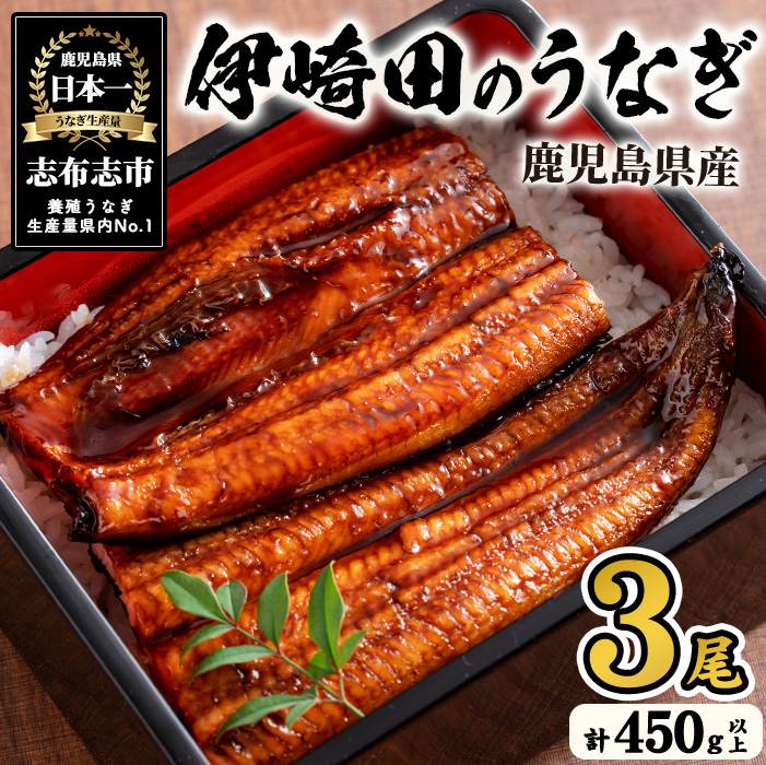 【数量限定】鹿児島県産 伊崎田のうなぎ蒲焼 中＜150g以上＞× 3尾(計450g以上) 鰻 うなぎ ウナギ 蒲焼き 3尾 国産 九州産 鹿児島県産 冷凍 おつまみ 鰻重 うな丼 b1-020