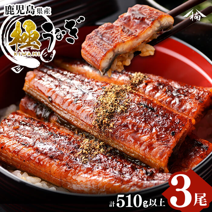 楠田の極うなぎ 蒲焼き 170g以上×3尾(計510g以上) b2-010