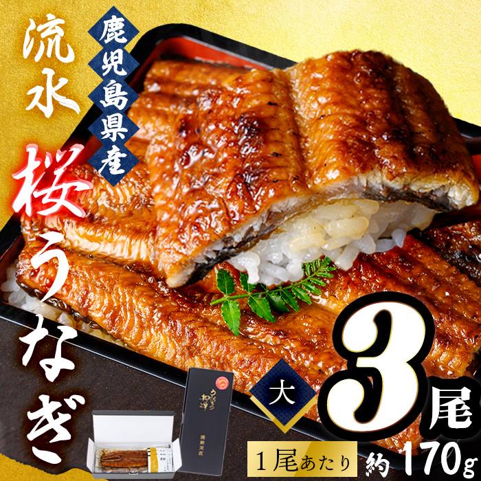 熟練の技が冴える！うなぎの柳澤 流水桜うなぎの蒲焼き3尾(計510g) b2-016