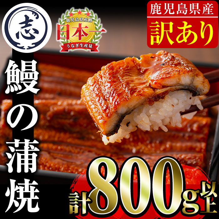 【訳あり・数量限定】復活！不揃いのうなぎ達 計800g以上(鹿児島県産 鰻の蒲焼き)　うなぎ 鰻 ウナギ 不揃い ふぞろい 訳アリ 国産 九州産 蒲焼 蒲焼き かばやき 冷凍 うな重 ひつまぶし 人気 b2-040