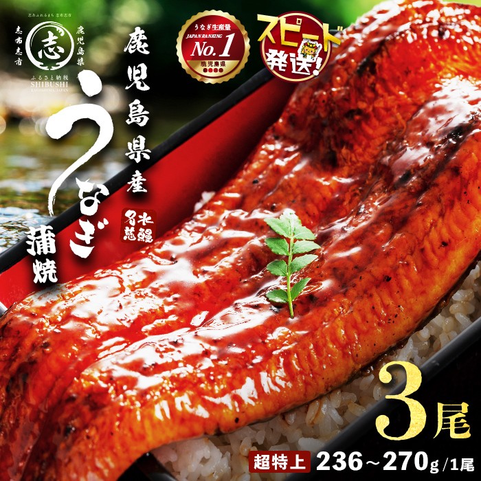 【志布志市制20周年記念】【10営業日以内に発送】【数量限定】鹿児島県産うなぎ蒲焼 名水慈鰻 超特上 3尾(1尾あたり236~270g)＜計750g以上＞ うなぎ 鰻 ウナギ 3尾 国産 蒲焼 かばやき 冷凍 真空 真空パック 無頭 うな重 ひつまぶし タレ 山椒 b2-049