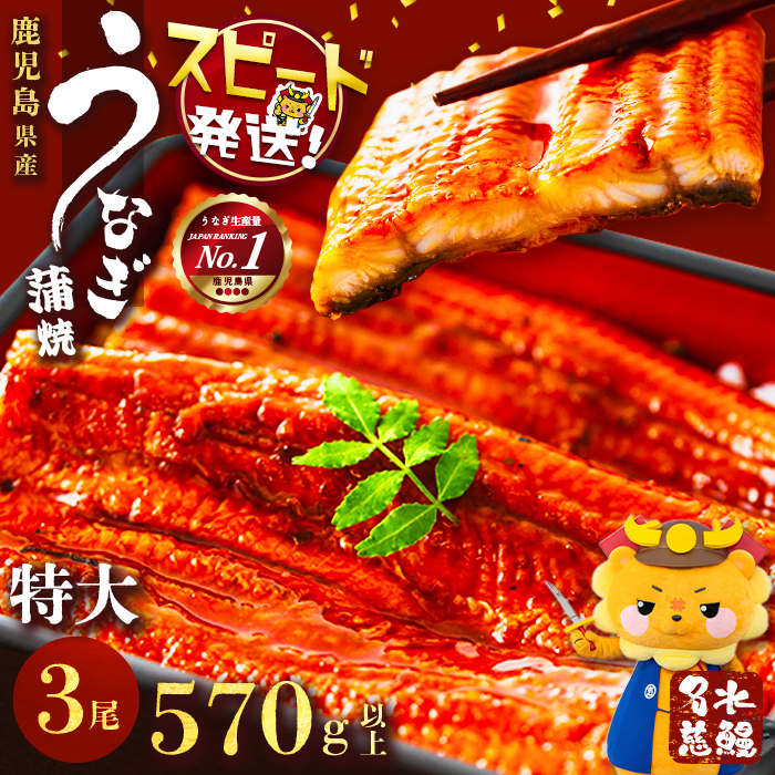 鹿児島県産うなぎ蒲焼 名水慈鰻 特大3尾(1尾190g以上)＜計570g以上＞　うなぎ 鰻 ウナギ 3尾 国産 蒲焼 かばやき 冷凍 真空 真空パック 無頭 うな重 ひつまぶし タレ 山椒 b1-023