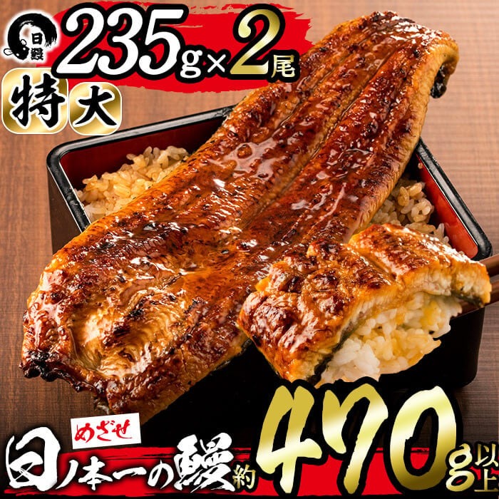 日ノ本一の鰻の蒲焼き＜特大＞2尾セット(計470g以上) うなぎ 鰻 ウナギ 国産 鹿児島県産 九州産 蒲焼き 冷凍 うな重 ひつまぶし b3-010