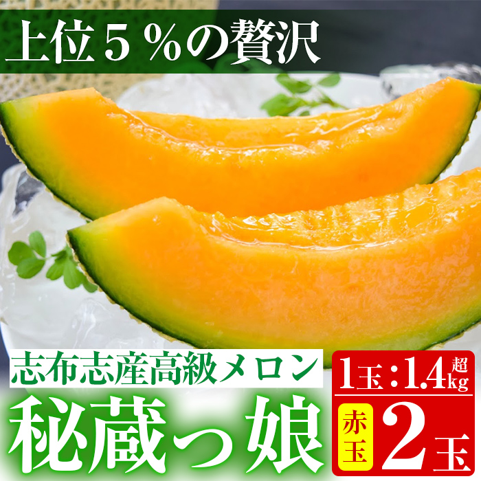 【春限定】極上メロン「秘蔵っ娘」赤玉(赤肉)2個 メロン マスクメロン 果物 くだもの デザート 赤肉 b5-036-s