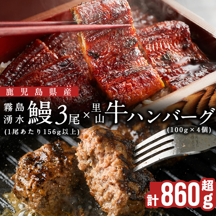 鹿児島県産 霧島湧水鰻3尾(1尾156g)×里山牛100%手作りハンバーグ4個(1個100g) (総計860g以上) うなぎ 鰻 ウナギ 蒲焼き 真空パック うな丼 鰻重 牛 牛肉 鹿児島県産 国産 ハンバーグ 100% b6-019