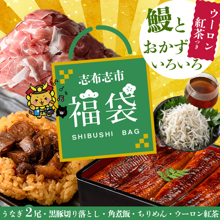 志布志市福袋！鰻とおかずいろいろセット(霧島湧水鰻2尾＆釜揚げちりめん＆黒豚ウデ切り落とし＆ウーロン紅茶＆角煮飯) ウナギ 蒲焼 2尾 バラエティ お楽しみ b8-041