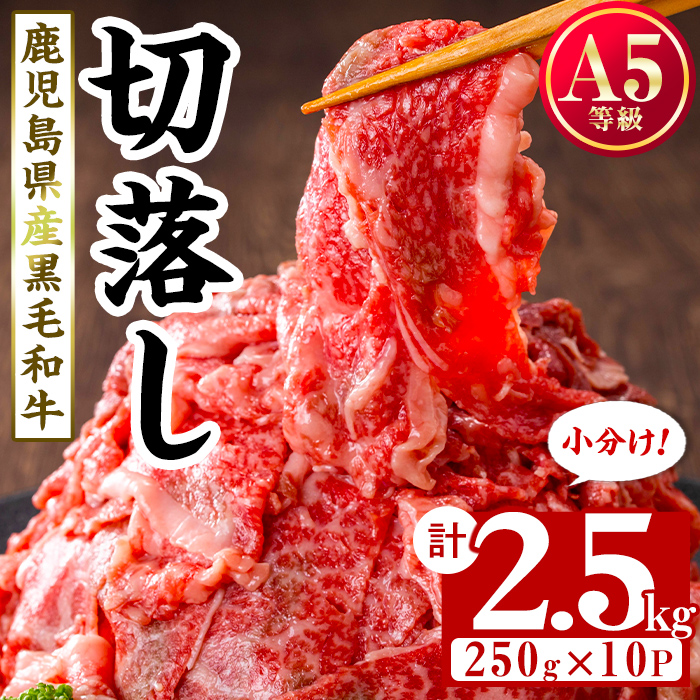 【小分け】＜A5等級＞鹿児島県産黒毛和牛 切り落とし(250g×10P・計2.5kg) 牛肉 肉 小分け 切落し 切り落とし 切り落し 国産 鹿児島県産 黒毛和牛 A5 全国和牛能力共進会 牛丼 c0-121