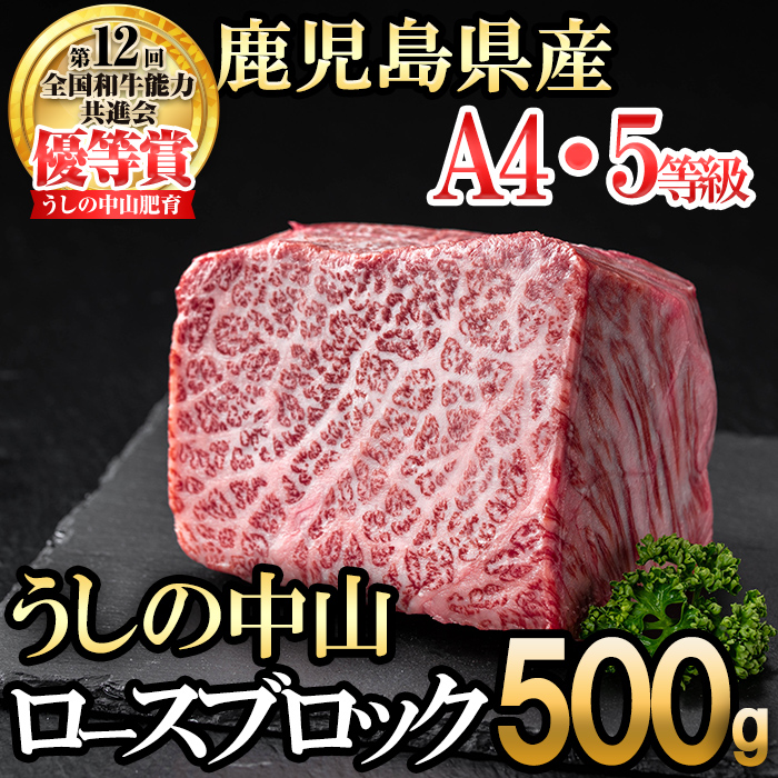 ロースブロック 500g×1P 黒毛和牛 和牛 肉 牛肉 国産 九州産 鹿児島県産 ロース 焼肉 ローストビーフ たたき 煮込み 日本一 冷凍 ブロック肉 BBQ バーベキュー ステーキ c0-126