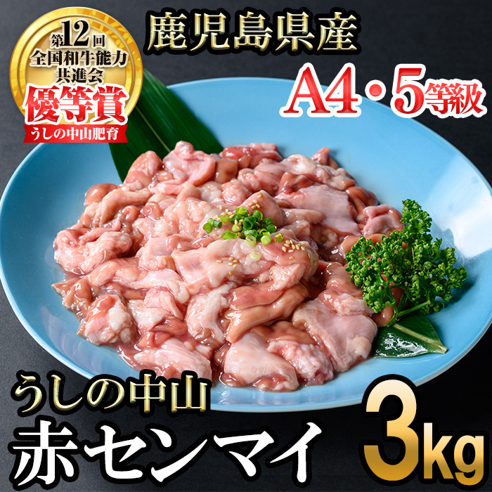 うしの中山 A4・A5等級黒毛和牛 赤センマイ（ギアラ）計3kg（500g×6P）黒毛和牛 和牛 肉 ホルモン 国産 九州産 鹿児島県産 焼肉 煮込み 鍋料理 もつ鍋 日本一 c0-132