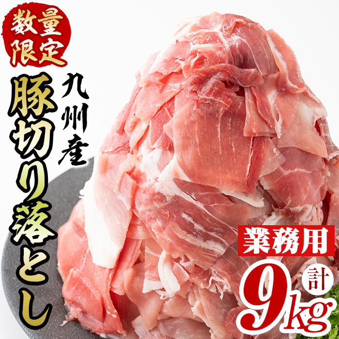 【工場直送 業務用】九州産豚切り落とし＜計9kg(300g×30P)＞ 肉 国産 豚肉 切り落とし 国産 九州産 小分け 真空パック しゃぶしゃぶ c0-137