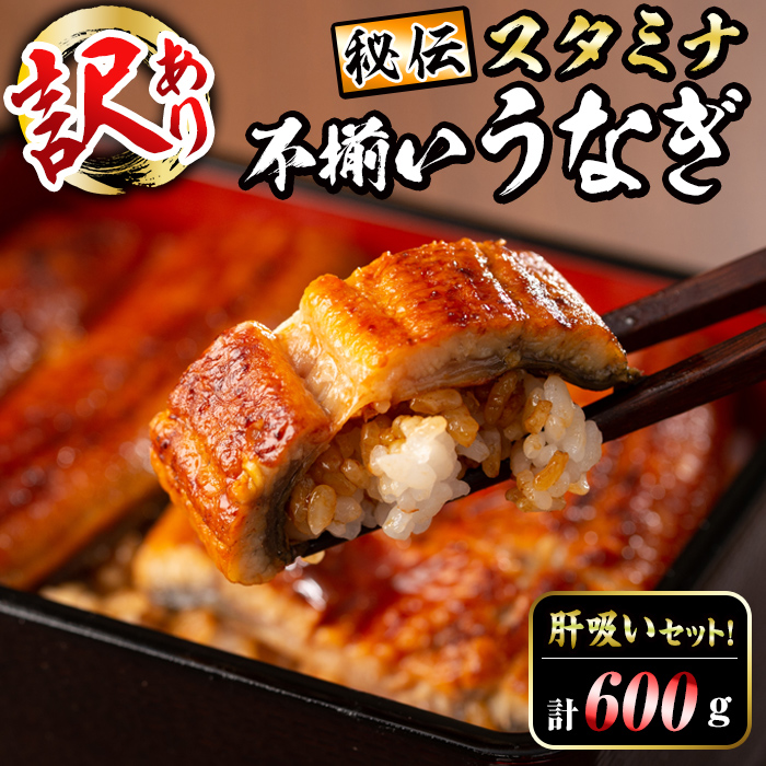 【訳あり】鹿児島県産！秘伝のスタミナうなぎ蒲焼き＜計600g以上／4尾以上＞肝吸いセット！ c0-138