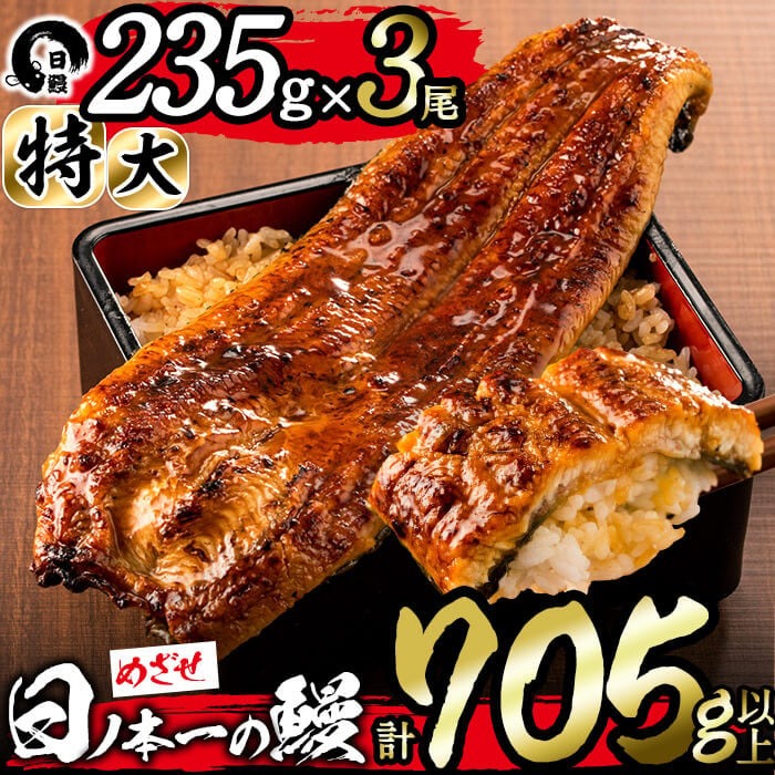 日ノ本一の鰻の蒲焼き＜特大＞3尾セット(計705g以上) うなぎ 鰻 ウナギ 国産 鹿児島県産 九州産 蒲焼き 冷凍 うな重 ひつまぶし c2-009