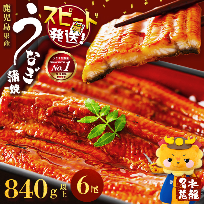 鹿児島県産うなぎ蒲焼 名水慈鰻 6尾＜計840g以上＞ うなぎ 鰻 ウナギ 6尾 国産 蒲焼 かばやき 冷凍 真空 真空パック 無頭 うな重 ひつまぶし タレ 山椒 c3-024