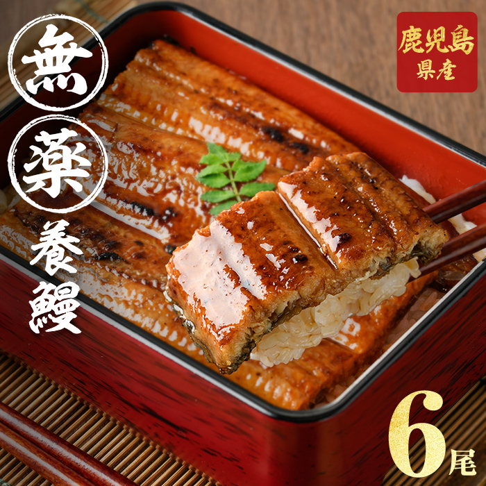 【無薬養鰻】 鹿児島産 山田のうなぎ ＜計960g以上＞ (160g以上×6尾) うなぎ 鰻 ウナギ 無薬 養鰻 無投薬 6尾 国産 九州産 蒲焼き かばやき 冷凍 うな重 ひつまぶし タレ 山椒 c2-014