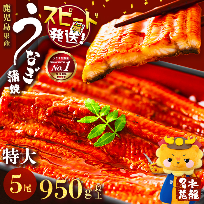 鹿児島県産うなぎ蒲焼 名水慈鰻 特大5尾(1尾190g以上)＜計950g以上＞ うなぎ 鰻 ウナギ 5尾 国産 九州産 蒲焼き かばやき 冷凍 うな重 ひつまぶし タレ 山椒 ランキング 人気 c5-035