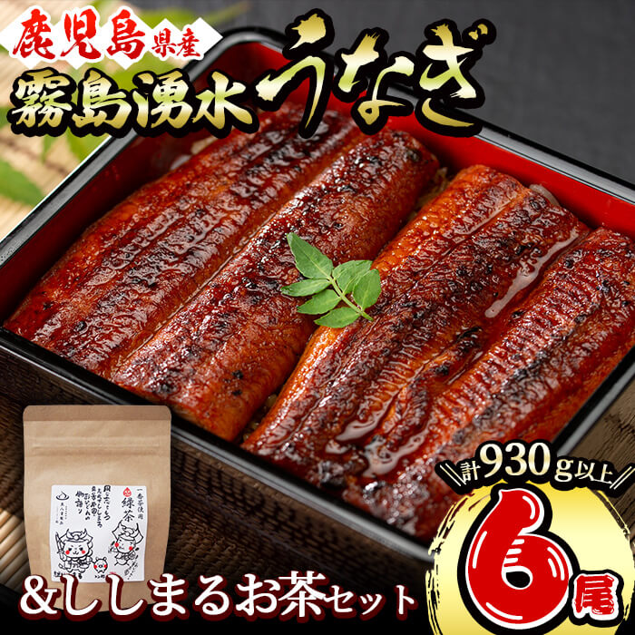 霧島湧水鰻6尾＆ししまるお茶セット 霧島湧水鰻(156g以上×6尾)＆緑茶ティーバッグ(3g×6個) 鹿児島県産 うなぎ ウナギ たれ タレ さんしょう 山椒 セット 緑茶 お茶 うな重 c8-031