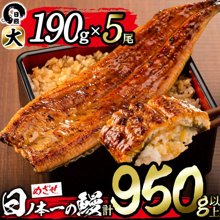 日ノ本一の鰻の蒲焼き＜大＞5尾セット(計950g以上) うなぎ 鰻 ウナギ 国産 鹿児島県産 九州産 蒲焼き 冷凍 うな重 ひつまぶし d3-001
