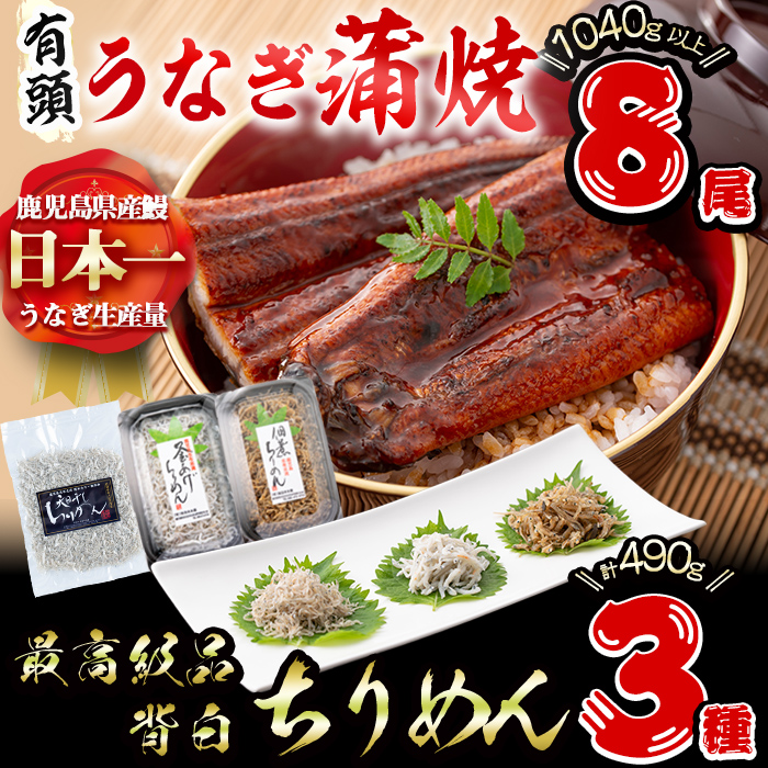 極うなぎ蒲焼130g以上×8尾(計1040g以上)+佃煮ちりめん90g+釜揚げちりめん100g×3個+ちりめん100g うなぎ 鰻 ウナギ 蒲焼 8尾 真空パック 鰻重 うな丼 ちりめん しらす ちりめんじゃこ e7-020