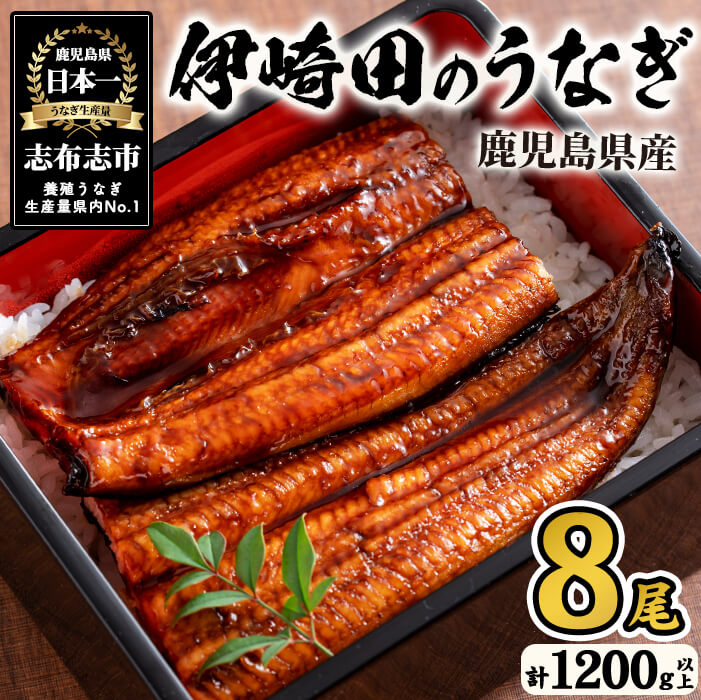 【数量限定】鹿児島県産 伊崎田のうなぎ蒲焼 中＜150g以上＞× 8尾(計1200g以上) 鰻 うなぎ ウナギ 蒲焼き 8尾 国産 九州産 鹿児島県産 冷凍 おつまみ 鰻重 うな丼 e1-001