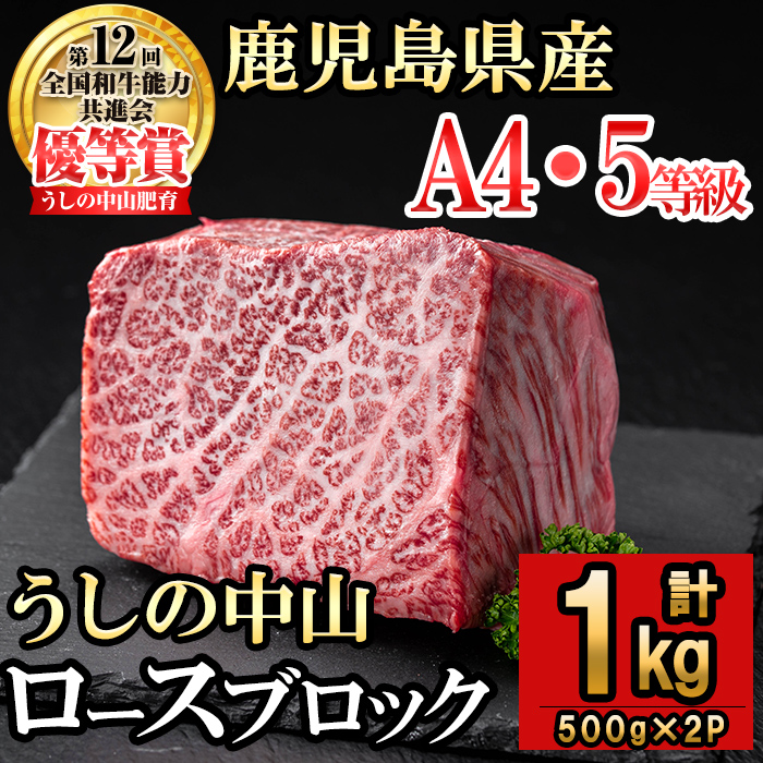 ロースブロック 計1kg(500g×2P) 黒毛和牛 和牛 肉 牛肉 国産 九州産 鹿児島県産 ステーキ 焼肉 ロース 日本一 e5-002