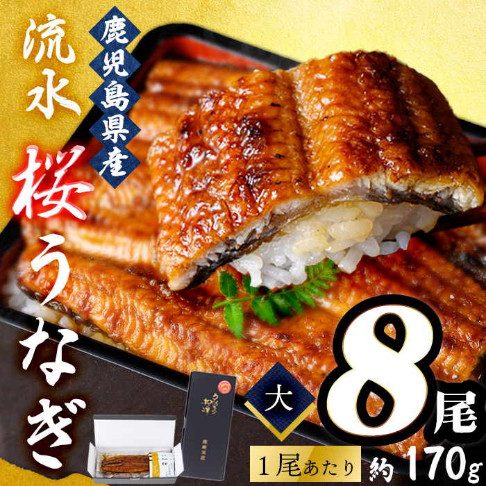 熟練の技が冴える！うなぎの柳澤 流水桜うなぎの蒲焼き8尾(計1360g) f0-023