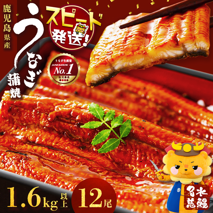 【数量限定】鹿児島県産うなぎ蒲焼 名水慈鰻 12尾(1尾約120g以上)＜計約1.6kg以上＞ f2-003