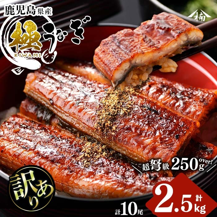 【訳あり】楠田の極うなぎ蒲焼き10尾(計2.5kg以上・1尾あたり250g～289g) 山椒付たれ 鰻 ウナギ 蒲焼 うな重 ひつまぶし 鹿児島 冷凍 おかず お祝い 訳あり j7-002