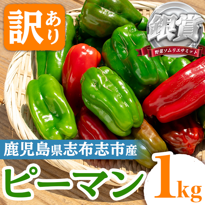 志布志産訳ありピーマン(1kg) ピーマン 訳あり 野菜 やさい ぴーまん 新鮮 常温 常温保存 おかず 詰め合わせ 銀賞 銀賞受賞 野菜ソムリエサミット p5-050