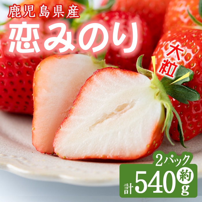 【数量限定】鹿児島県産朝採れイチゴ「恋みのり」約540g(約270g×2パック) いちご イチゴ 苺 果物 フルーツ スイーツ デザート お菓子 人気 甘い 大粒 ジャム スムージー p7-048