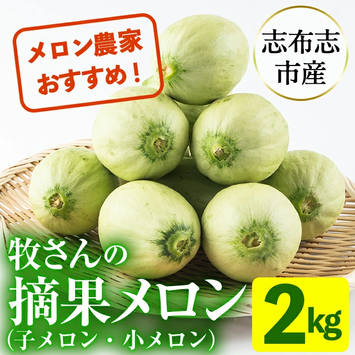【期間限定・数量限定】鹿児島県志布志産 摘果メロン(子メロン・小メロン) 2kg a0-330-02