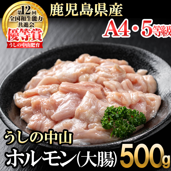 うしの中山 ホルモン(大腸)500g(500g×1袋) 黒毛和牛 和牛 肉 牛肉 国産 九州産 鹿児島県産 ホルモン 焼肉 日本一 p9-028