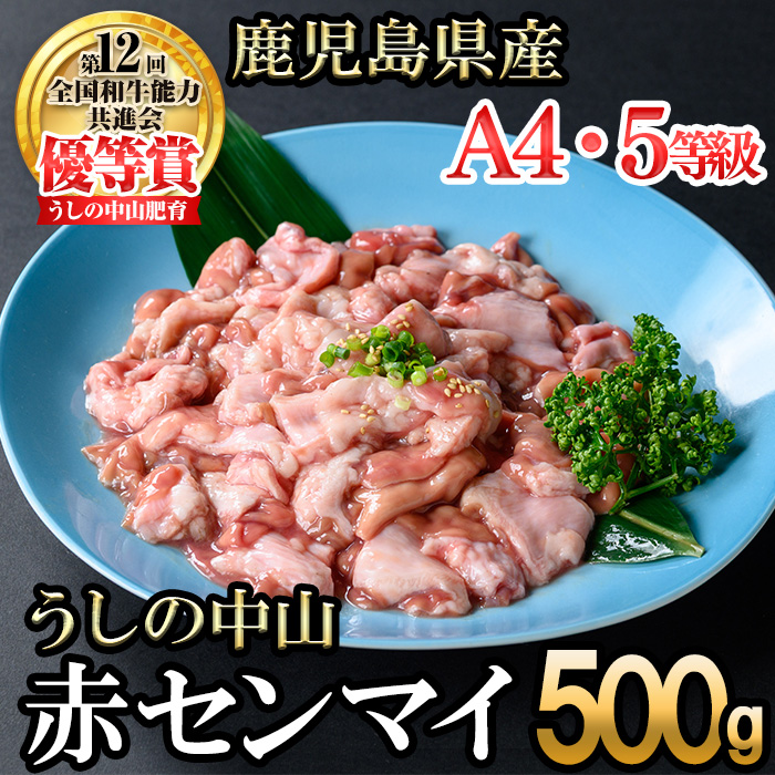 うしの中山 A4・A5等級黒毛和牛 赤センマイ（ギアラ）計500g（500g×1P）黒毛和牛 和牛 肉 ホルモン 国産 九州産 鹿児島県産 焼肉 煮込み 鍋料理 もつ鍋 日本一 p9-033