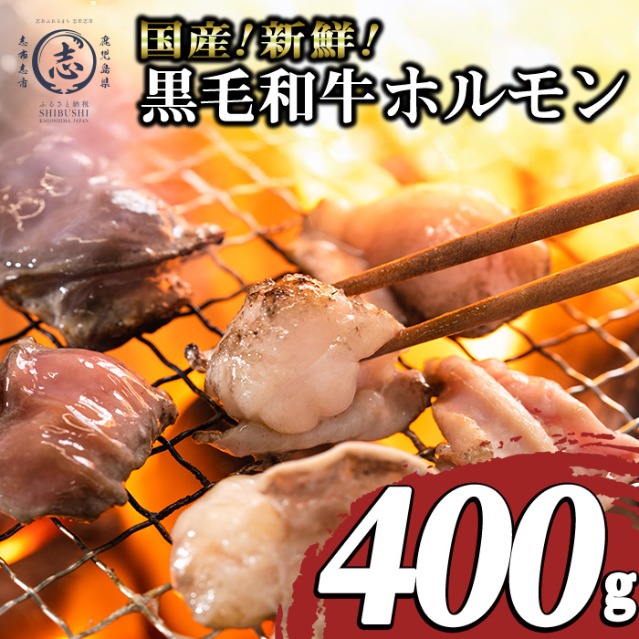 国産黒毛和牛ホルモン 焼肉用 (400g) 黒毛和牛 肉 牛肉 国産 焼肉 バーべキュー 小分け もつ鍋 モツ鍋 ホルモン p9-043