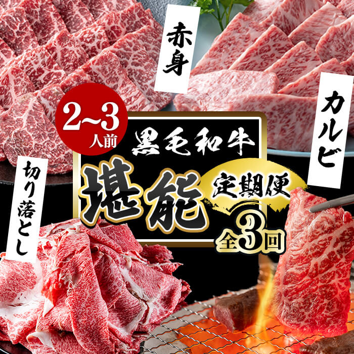 【定期便全3回】＜A4・A5等級＞黒毛和牛堪能〈お試し〉定期便（2～3人分）総重量900g 鹿児島県産 黒毛和牛 和牛 肉 牛肉 国産 九州産 鹿児島県産 焼肉 焼き肉 BBQ ランキング 人気 A4 A5 赤身 切り落とし カルビ お楽しみ 食べ比べ 2人前 3人前 t0035-002