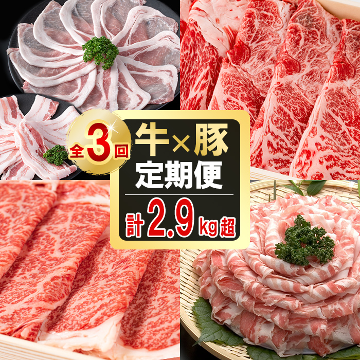 【定期便全3回】贅沢！国産黒毛和牛・豚肉定期便(3ヶ月連続・総量2.9kg以上) 黒毛和牛 国産牛 九州産 黒豚 豚 豚肉 肉 牛 牛肉 国産 しゃぶしゃぶ すき焼き 豚バラ バラ ロース 人気 A4等級 小分け 真空包装 t0042-007