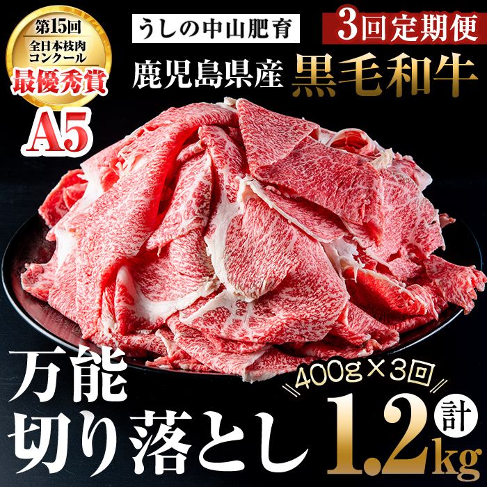 【定期便全3回】＜A4・A5等級＞黒毛和牛堪万能切り落とし肉 計1.2kg(400g×1P・全3回) 黒毛和牛 和牛 切り落とし 肉 牛肉 国産 九州産 鹿児島県産 すき焼き しゃぶしゃぶ 牛丼 小分け A5 日本一 ランキング 人気 定期便 t0039-005