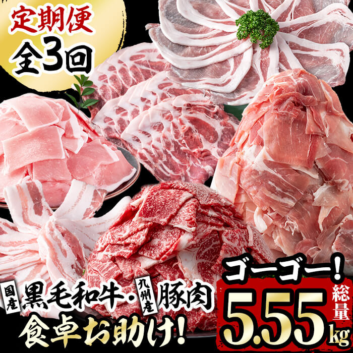 【定期便・全3回】国産黒毛和牛と九州産豚肉の食卓お助けゴーゴー定期便 計5.55kg t0037-002-02