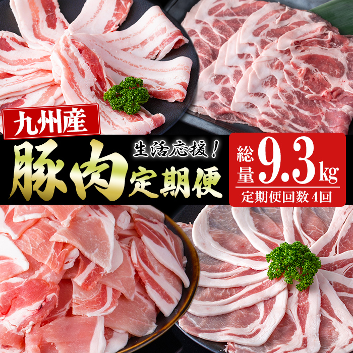【定期便 全4回】九州産豚肉 生活応援定期便(計9.3kg) 定期便 豚肉 ぶた肉 肉 国産 九州産 切り落とし 切落し 小分け 真空パック チャック付き 野菜炒め 豚丼 カレー t0050-020