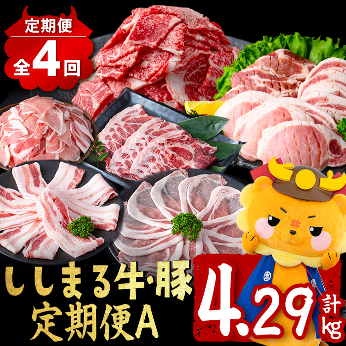 【定期便全4回】ししまる牛・豚定期便A(4ヶ月連続・計4.29kg以上) 黒毛和牛 黒豚 国産牛 九州産 豚 豚肉 肉 牛肉 国産 小分け 真空包装 冷凍 t0044-007