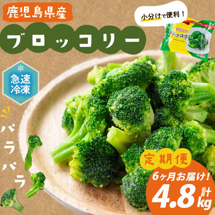 【定期便 全6回】鹿児島県産 冷凍ブロッコリー＜計4.8kg＞(200g×4袋×6ヶ月) ブロッコリー 野菜 冷凍 カット カット野菜 国産 簡単 手軽 サラダ 味噌汁 スープ お弁当 t0048-008