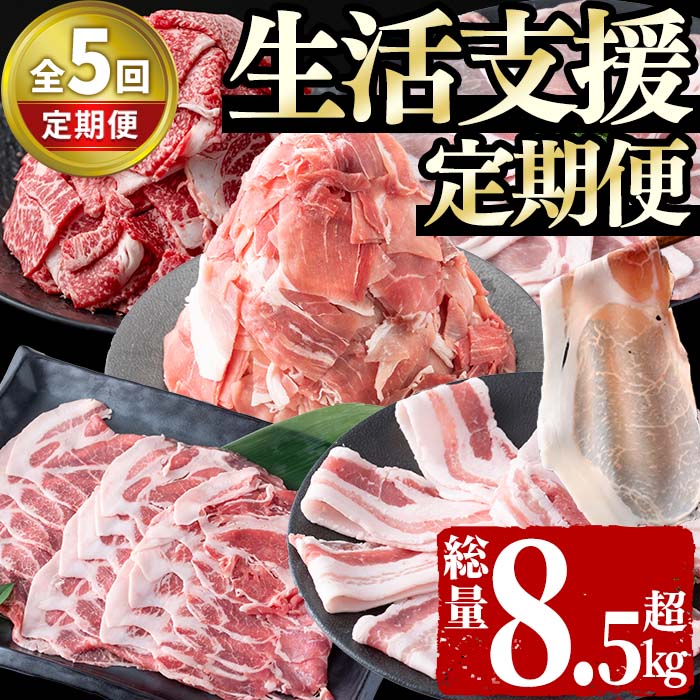 【定期便全5回】生活支援定期便(5ヶ月連続・総量8.5kg以上)国産牛 九州産 豚 豚肉 肉 牛肉 国産 しゃぶしゃぶ 豚バラ 切り落し 大容量 人気 小分け 真空包装 t0061-002