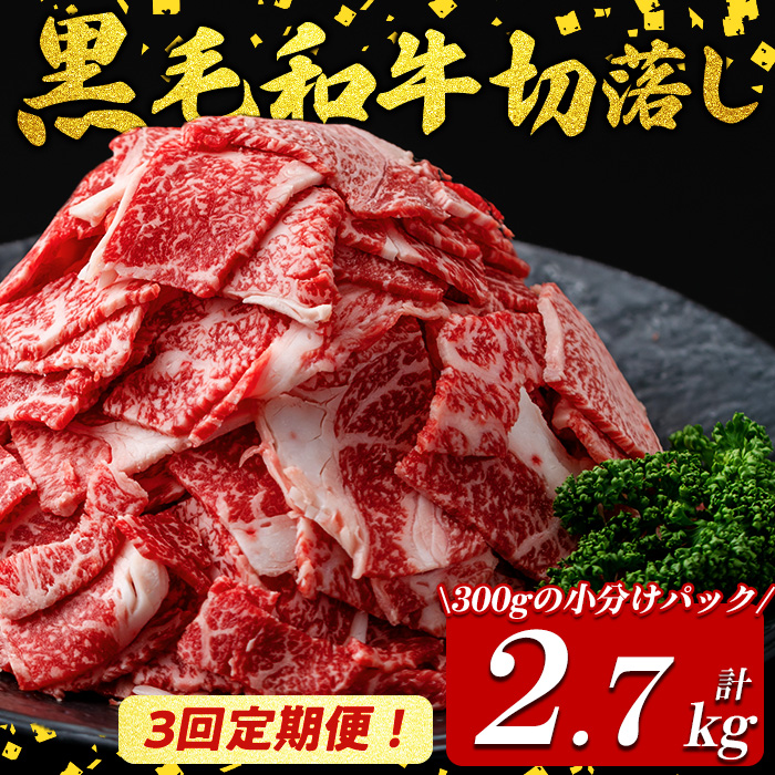 【定期便全3回】国産黒毛和牛切り落とし(計2.7kg) 牛肉 牛 切り落とし 切落し 小間切れ 小分け 真空パック 牛丼 カレー 肉じゃが 炒めもの 真空パック 黒毛和牛 定期便 t0036-007