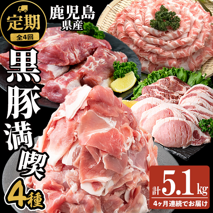 【定期便全4回】 鹿児島県産黒豚の満喫定期便(計5.1kg) 国産 鹿児島県産 黒豚 肉 豚肉 しゃぶしゃぶ ヒレ 豚ヒレ ヒレ肉 ひれかつ 豚カツ トンカツ トンテキ ブロック 定期便 小分け 食べ比べ セット t0058-004